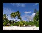 26_Rarotonga Cook Islands