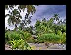 28_Rarotonga Cook Islands