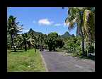 32_Rarotonga Cook Islands