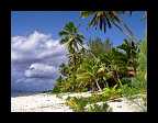34_Rarotonga Cook Islands