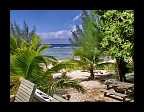 35_Rarotonga Cook Islands