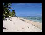 39_Rarotonga Cook Islands