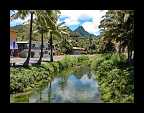 05_Cook Islands motiv
