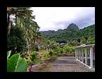 08_Cook Islands motiv (3)