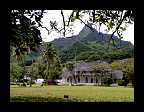 10_Cook Islands Motiv (6)