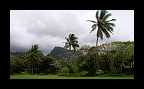 Rarotonga (7)